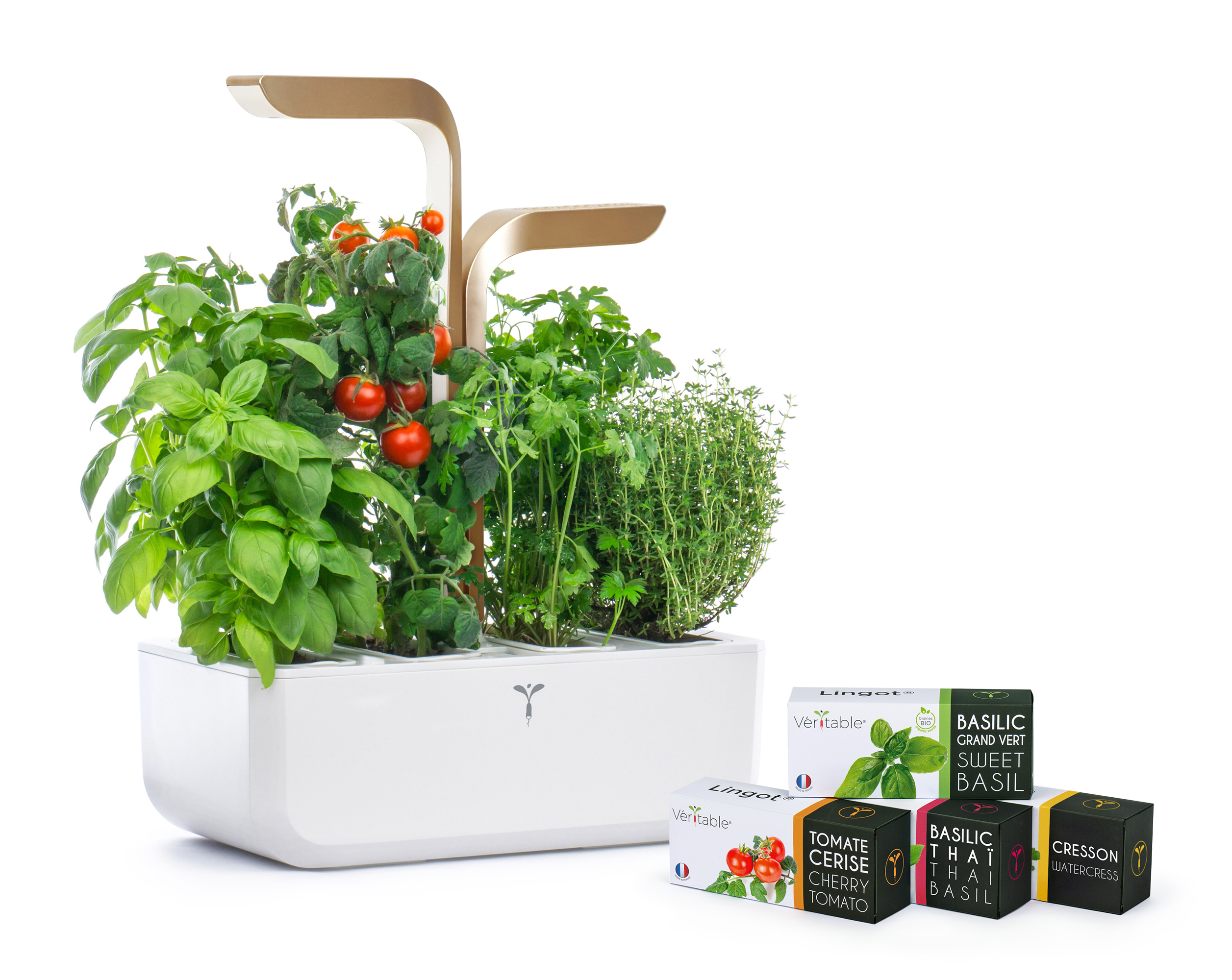 Potager-CONNECT-3-4-moonlight-gold-avec-lingots